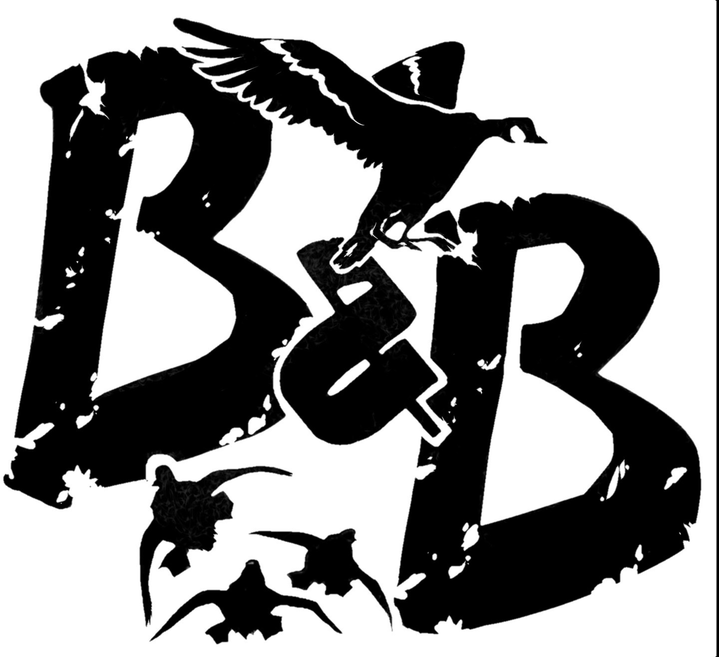 Birds & Bucks Outdoors